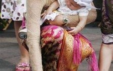 Úc sửa luật để phòng khủng bố