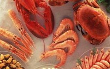 Kẽm - nguyên tố thiết yếu cho sự sống