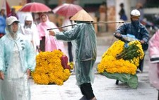 Chùm ảnh: Festival mưa!