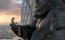 23:12: King Kong 2005 đến VN