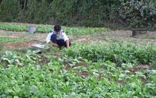 Tết của lính đảo Thổ Chu