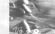 Vỏ ốc và sỏi màu