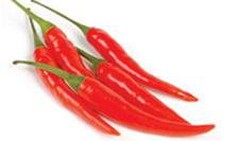 Cây ớt, vị thuốc quý