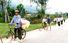 Muối... rong