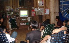 Đánh thức sóc Bom Bo
