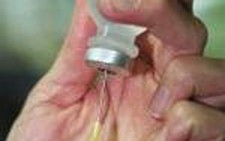 Nga sản xuất vaccine ngừa cúm gia cầm cho người