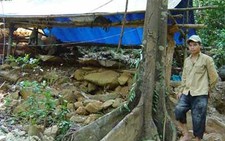 Đà Nẵng: 