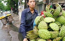 Đài sen xuống phố