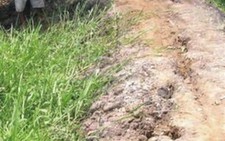 Nguy cơ sạt lở đê bao rạch Gò Dưa