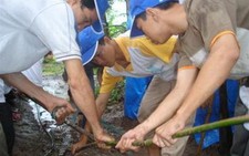 Sinh viên y đi xây làng sức khỏe