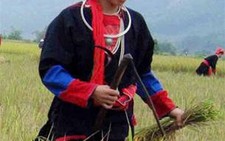 Làng cung nữ dưới chân núi Yên Tử