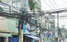 Mạng nhện... cáp!