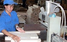 Công nghiệp chế biến gỗ: VN là đối thủ của Malaysia