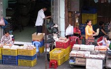 Vụ trứng gia cầm nhiễm chất độc: Trứng ế ẩm...