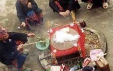 Triển lãm - hội chợ 