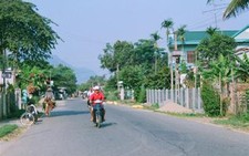 Săn kỳ nam 