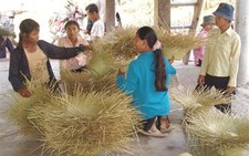 Dự án bảo tồn cỏ bàng nhận giải thưởng quốc tế