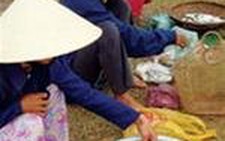 Lên đập ăn cá mòi