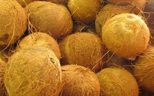 Bến Tre: 