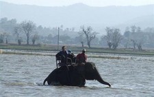 Sêrêpôk - dòng sông chảy ngược (kỳ 1): Nơi khai sinh Sêrêpôk