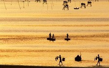 Tiếng gọi đò Ca Cút