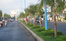 Những con lươn 