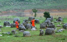 Lang thang trên Cánh đồng Chum