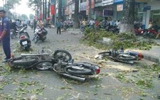 Cây tét nhánh, bốn người bị thương