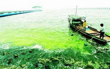 Trung Quốc: du lịch làm ô nhiễm sông hồ
