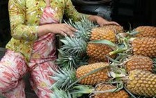 Đời thương hồ (Kỳ 3): Chuyện tình sông nước