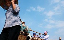 Gánh thuê