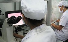 Việt Nam chuẩn bị ghép tế bào gốc tái tạo mô da