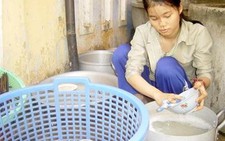 Mẹ con học trò nghèo xứ Quảng