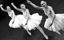 Ballet và các tiết mục múa đương đại