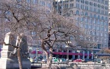 Chicago - thành phố của gió