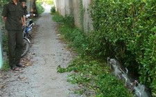 Mất trộm đồng hồ nước