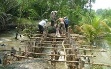 Dân vẫn loay hoay đối phó triều cường