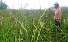 Ruộng dân bỏ hoang, công trình đứt đoạn