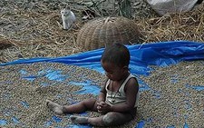 Chùm ảnh Bangladesh hoang tàn sau bão lốc