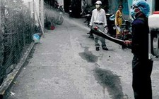 Không theo sau người phun thuốc diệt muỗi