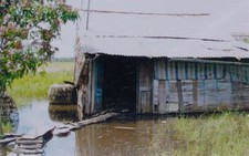 Nước ngập, ruộng vườn bỏ hoang vì khu tái định cư