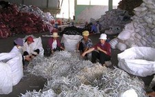 Tranh nhau mua... rác công nghiệp!