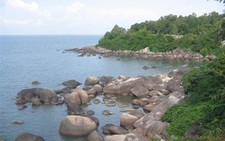 Rong chơi trên 