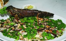 Cá thòi lòi và những sản vật vùng nước lợ