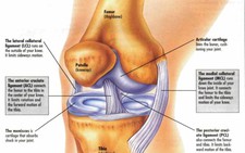 Sưng phù đầu gối ở người lớn tuổi