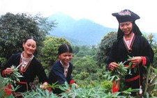 Triển lãm ảnh báo chí Xuân - đất và người
