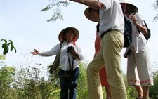 Bà tiến sĩ 