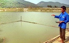 Kỹ sư 8X về làm nông dân