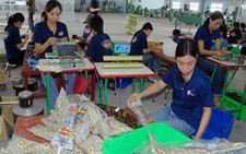Xe nhập khẩu về nhiều, người mua đông