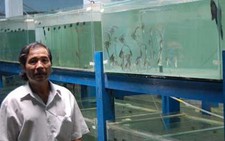 Khóc cười cùng cá cảnh